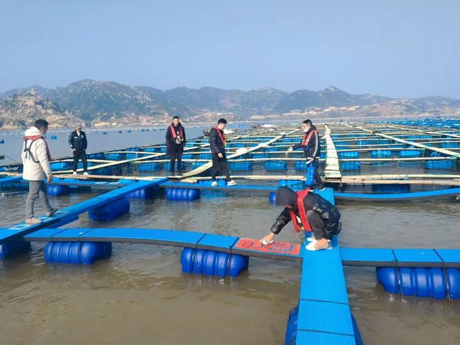 海水养殖专用气悬浮机组